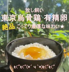 のびのび育った平飼い自然卵（160個入り）｜一切の薬剤•ワクチン不使用