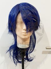 【アウトレット】ヒプノシスマイク　有栖川帝統　キャラクターウィッグ　コスプレ　ウィッグ