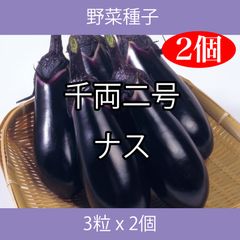野菜種子 TVK10 千両二号ナス 3粒 x 2個