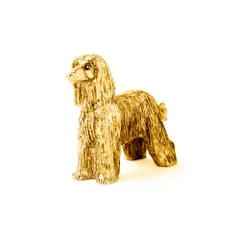 ボーダー ファインアーツ スコットランド B0119 アフガン ハウンド 犬 2025年最新】アフガン・ハウンドの人気アイテム - メルカリ