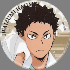 【中古】バッジ・ビンズ 岩泉一 「ハイキュー!!×極楽湯・RAKU SPA 最高にハイなキュー日(じつ) 第2弾 トレーディング缶バッジ(第2弾) お風呂ver.」