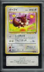 ARS10 わるいバクフーン レアホロ Rare Holo 旧裏 旧裏面 拡張