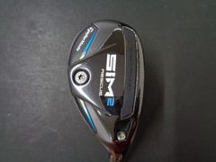 Item thumbnail for item 6d96e856-c493-44a6-bdad-7c9a5cf607df