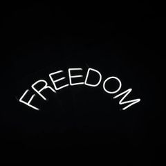【50%OFF】FREEDOM ☓ ネオンサイン / ネオン管 / ネオンライト / インテリア照明
