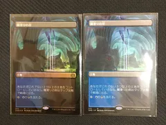Darkslick Shores 闇滑りの岸 foil 4枚セット 2025年最新】闇滑りの岸 foilの人気アイテム - メルカリ
