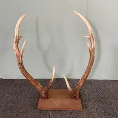 2025年最新】刀掛け 鹿の人気アイテム - メルカリ