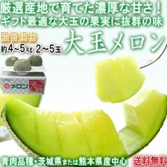 青肉メロン 約4～5kg 2～5玉 秀品～優品規格 茨城・熊本県産中心 アンデス・タカミ・キスミー等 露地～加温栽培 贈答可能な旬のメロン！