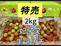 マツモト商店『6月7日〜10日お休み』 - メルカリShops