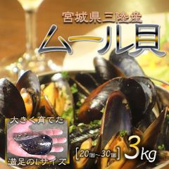 宮城県三陸産 ムール貝 3kg Lサイズ 濃厚な旨み 出汁も最高 様々なお料理に