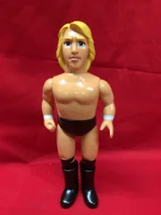 HAO 高山　善廣 Yahoo!オークション - HAO ドンフライ 高山善廣 プロレス