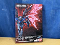METAL BUILD デスティニーガンダム(ハイネ機)/魂ネイション 2015