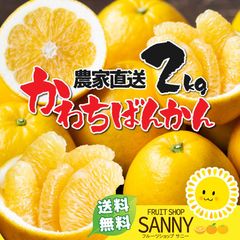 みかん 訳あり 愛媛県産 河内晩柑 箱込2kg（不ぞろい・不選別）※沖縄・離島・北海道は発送不可