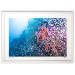 余村展、【ブルースターの囁き】、希少な画集画、新品高級額・額装付 余村展、【ブルースターの囁き】、希少な画集画、新品高級額・額装付