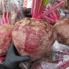 沖縄県産　ビーツ 2キロ