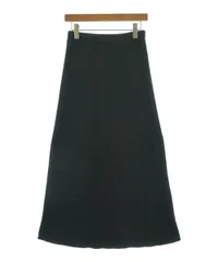 DRESSTERIOR ロング・マキシ丈スカート レディース 【古着】【中古】【送料無料】