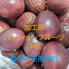 奄美大島産 パッションフルーツ 加工用 農薬不使用栽培 - メルカリ