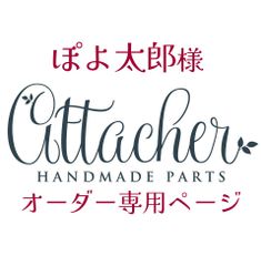 ぽよ太郎様専用　ネコポス　ta099 2本入り