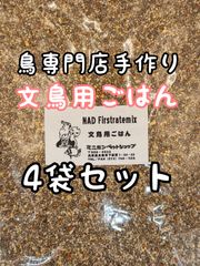 Item thumbnail for item 02a3b1b0-3187-4f36-9f0d-cbce59578a33