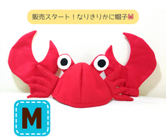 にゃおだて　衣装フェルト Amazon.co.jp: [Woodey] [ワイジェヤ] にじさんじ サーニャ(葛葉