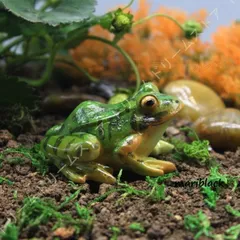 2026年最新】カエル ブリキの人気アイテム - メルカリ