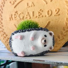 ❤️多肉植物そのまま飾れる寄せ植え❤️ハリネズミさんのスニーカー鉢 