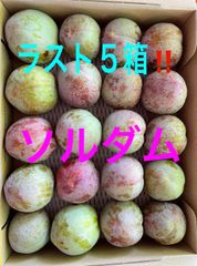 山梨県産　スモモ(ソルダム)  コンパクト1キロ以上‼️