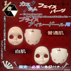 1/6　カスタム　フェイスパーツ　ブライス・アイシードール用　白肌/普通肌　人形