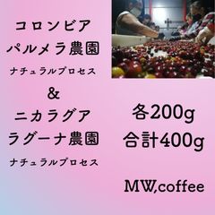 ナチュラルセット　コロンビア&ニカラグア各200g合計400g 自家焙煎コーヒー豆
