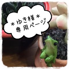 ＊ゆき様＊専用 3鉢