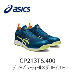 使用5回　ウィンジョブ　CP213 TS 25.0cm