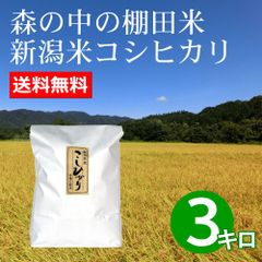 森で育ったお米 新潟米コシヒカリ 3キロ白米 新潟産 令和4年産