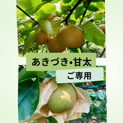 【ご専用】梨　家庭用　あきづき　甘太　埼玉県産　約5㎏