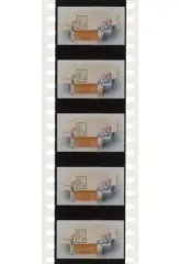 【中古】コマフィルム 集合(向き合い/リビング) 生コマフィルム 「映画 五等分の花嫁」 入場者特典 第6弾