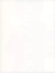 【中古】パンフレット ≪パンフレット(ライブ)≫ パンフ)Sexy Zone Anniversary Tour 2021 SZ10TH