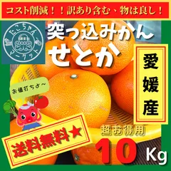 手数料安い 2025年最新】せとか みかん 10kgの人気アイテム - メルカリ 果物