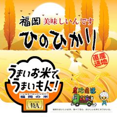 米 10kg 送料無料 新米 ひのひかり 白米 ヒノヒカリ 令和4年 おすすめ