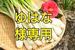 島らっきょう!ゆはな様専用!2.4kg(*^^*) - ニュー開運清子 - メルカリ