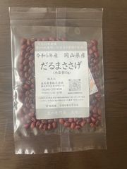 岡山県産　だるまささげ　50g入　令和５年産【送料無料】【メール便】【代引き不可】