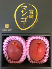 宮崎県産 完熟マンゴー 秀品 2L 2玉 化粧箱入り チルド便