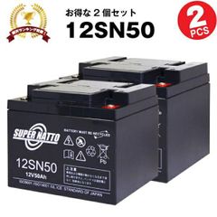 12SN50【2個セット】 埋め込み式 車椅子間連商品 シニアカー、セニアカーに対応
