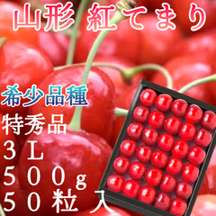 高級希少果実！メガビッグ大粒【紅てまり さくらんぼ】500g 50粒入 父の日 贈答用