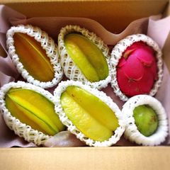 【長生きセット】敬老の日❣️プレゼント　沖縄県産　スターフルーツ　※クール便