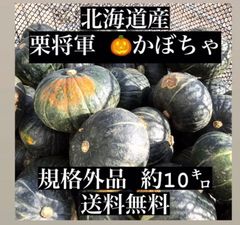 11/17セール品 かぼちゃ 訳あり 北海道