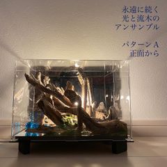 斜陽　BOX Y02　LED　流木アート　インテリアアクリルBOX 　流木らいと