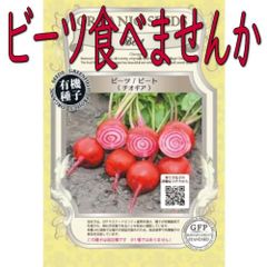 【ポスト投函便】グリーンフィールドプロジェクト　ﾋﾞｰﾂ　チオギア【有機種子・固定種】　根菜　春秋