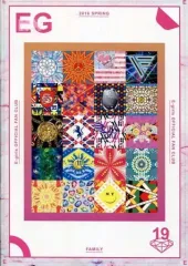 【中古】アイドル雑誌 E-Girls FAMILY VOL.19 2016 SPRING