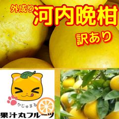 外成り河内晩柑　内容量　２キロ　訳あり家庭用　サイズ不揃い不選別　　北海道沖縄のお客様は発送不可