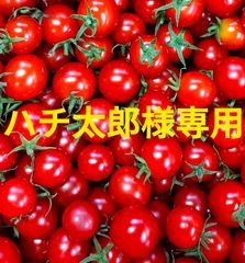 ハチ太郎様専用　３kg＋100g　クール便