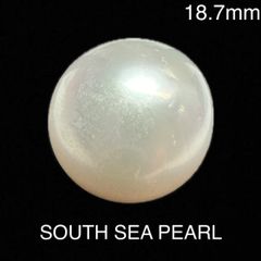 【新品】18.7㎜ 43.577ct SOUTH SEA PEARL