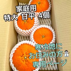 愛媛県産　特大甘平　4個　寒冷地の方向け